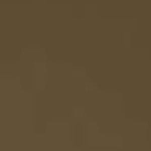 Mission Model Paint - MMP-123 Rail Tie Brown - 123 Mission Model Paint - MMP-123 Rail Tie Brown - 123