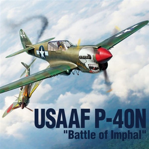 Academy Models - P-40N USAAF Battle of Imphal 1:48 - 12341
