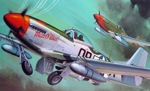 Hasegawa Models - P-51D Mustang 1:32 - 8055