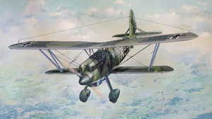 Roden Model Aircrafts - Arado Ar68F Aircraft 1:48 - 454