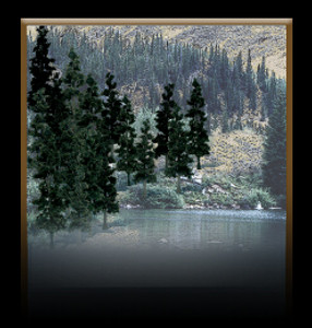 Woodland Scenics - Value Pack Merchandiser - 1598 Woodland Scenics - Value Pack Merchandiser - 1598