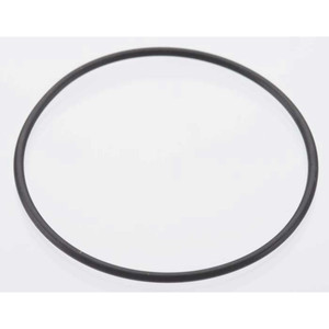 DL POWER - Back Plate O-ring Dle-20 - G2118