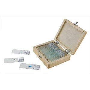 Celestron International - Prepared Slides, 25 Pc In Box - 44410 Celestron International - Prepared Slides, 25 Pc In Box - 44410