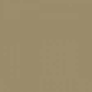 Mission Models - Acrylic Model Paint 1 oz bottle, Sandgrau  RAL 7027 - MMP-016