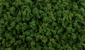 Woodland Scenics - Game Terrain Medium Green Foliage Clumps - 6462