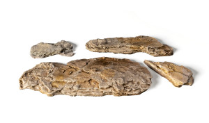 Woodland Scenics - Game Terrain Surface Boulders - 6558