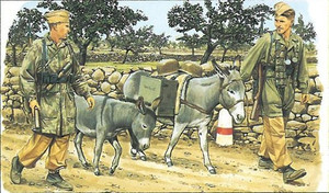 DML Military Kits - GERMAN FALSMGR W/DONKEYS 1:35 - 6077