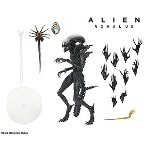 Neca - Alien: Romulus 7" Scale Figures - Ultimate Scorched Xenomorph Neca - Alien: Romulus 7" Scale Figures - Ultimate Scorched Xenomorph