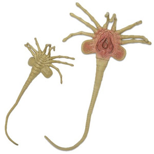 Neca - Life-Size Foam Replicas Figures - Alien - 1/1 Scale Facehugger Neca - Life-Size Foam Replicas Figures - Alien - 1/1 Scale Facehugger