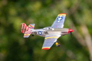 Rage R/C - P-51D BL 500mm RTF Warbird - A1600 Rage R/C - P-51D BL 500mm RTF Warbird - A1600