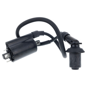 Polaris 0455029 Ignition Coil Assembly RZR Sportsman Outlaw 170 110 2015-2023