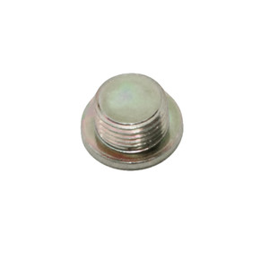 Polaris 3084860 Cylinder Plug 1995-2014 400 X2 EFI EPS Ranger Sportsman 550 500