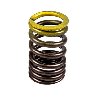 Polaris 3087983 OEM Outer Valve Spring 2003-2007 Predator Outlaw 500