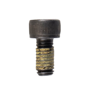 Polaris 7517847 OEM Screw Switchback Indy Axys Voyageur Titan General 570 600 800 1000