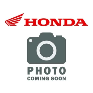 Honda - Cover Set, Right Bed Side (Type2) (Wl) - 81555-HL3-B61ZA