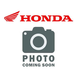 Honda - Cover Set, Right Bed Side (Type1) (Wl) - 81555-HL3-BB0ZD