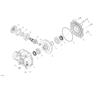 Can-Am - Needle Bearing - 705501874