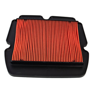 Honda 17210-MCA-A60 Air Cleaner Element Valkyrie F6B 1800 F6B 17210-MCA-003
