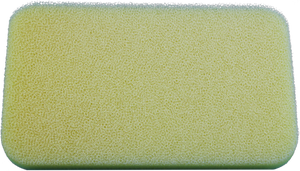 No Toil - Raptor 110 2024-2025-dry - 380-28