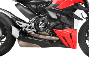 Rizoma - Clutch Cover Silver Duc V2 - ZDM179A