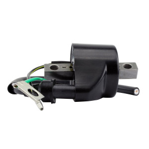 Rm Stator - External Ignition Coil - RMS060-106337