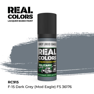 AK Interative - RC915 Dark Grey FS 36176 6pk - 915
