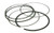 Cylinder Works - Piston Rings 79.96mm For Vertex Pistons Only - 590280000001