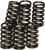 Ebc - Clutch Springs - CSK10