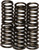 Ebc - Clutch Springs - CSK88