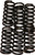 Ebc - Clutch Springs - CSK6