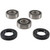 Pivot Works - Rear Wheel Bearing Kit - PWRWK-K09-008