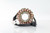 Ricks - Stator - 21-801H
