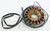 Ricks - Stator - 21-309