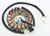 Ricks - Stator - 21-311H