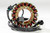 Ricks - Stator - 21-051
