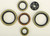 Winderosa - Oil Seal Set - 822370