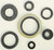 Winderosa - Oil Seal Set - 822126