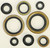 Winderosa - Oil Seal Set - 822274