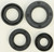 Winderosa - Oil Seal Set - 822163