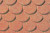 JTP Plastics Gallery - G Scalloped Edge - 97439