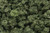 Woodland Scenics - Bushes Olive Green - 144