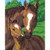 Paintworks Paint by Number - Pony & Mother Beginner - 91119