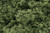 Woodland Scenics - Foliage Clusters Light Green - 57