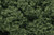 Woodland Scenics - Foliage Clusters Medium Green - 58