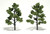 Woodland Scenics - Rm Lt Green Trees 5'-6' 2pk - 1512