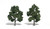 Woodland Scenics - Rm Med Green Trees 5'-6' 2pk - 1513