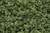 Woodland Scenics - Underbrush Light Green Shaker - 1635