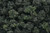 Woodland Scenics - Bushes Forest Blend Shaker 32o - 1649