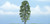 Woodland Scenics - Rm Basswood Tree 4' - 1618