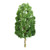 JTT Trees & Shrubs - Sycamore 2' Pro 4pk - 94316